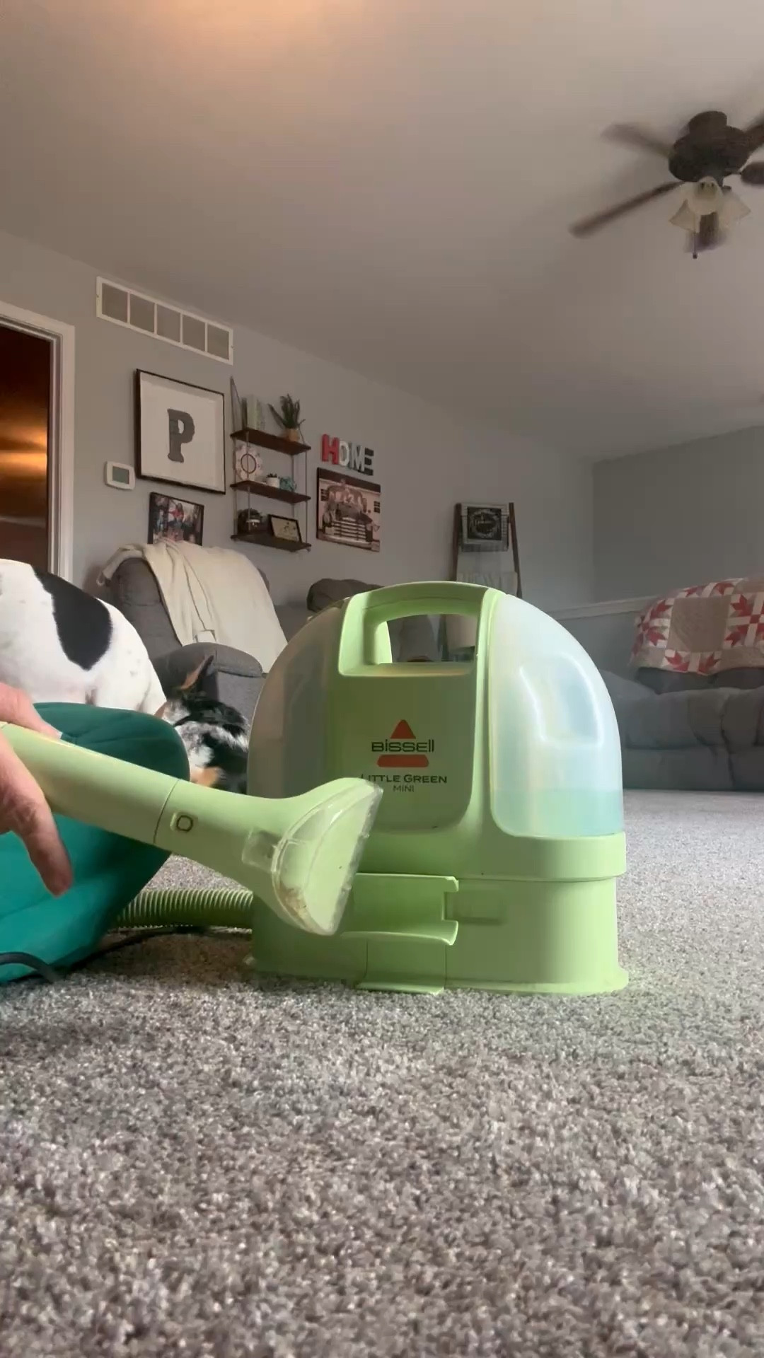 This little green machine is a must have!  Great for carpet, furniture, cars, you name it!  

#LTKSaleAlert #LTKmomlife #LTKHome