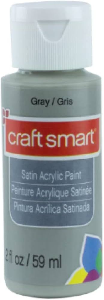 Satin Acrylic Paint by Craft Smart 2 oz. (Grey) | Amazon (US)