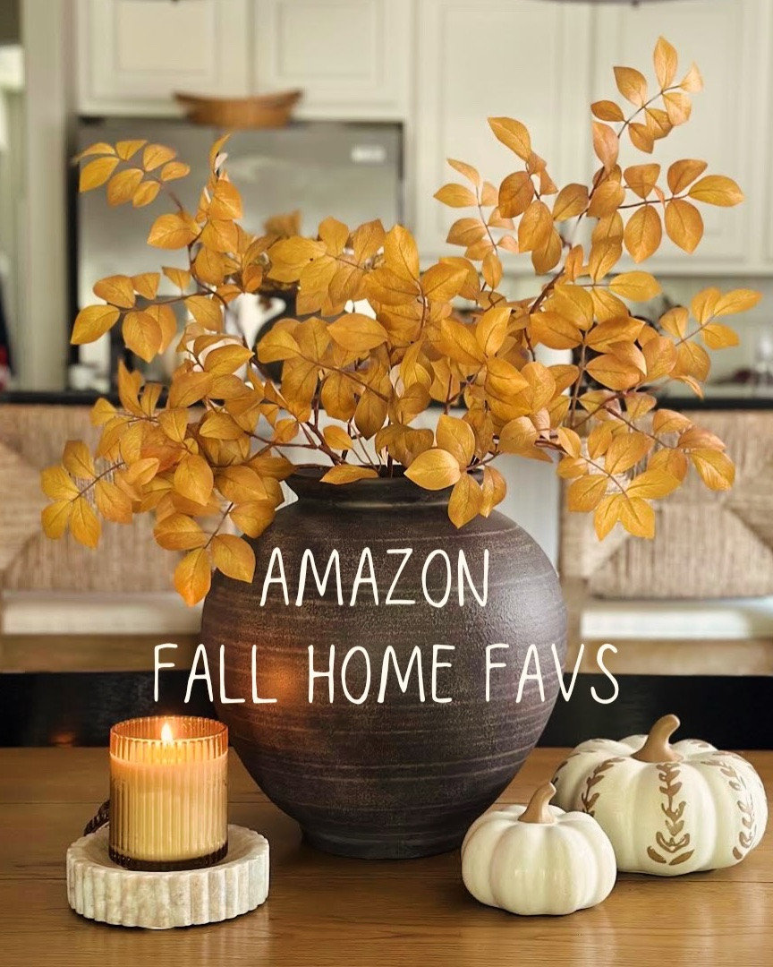 Amazon Fall Favs! 🍂🤎☺️

Rounded up some of my favorite affordable home fall finds from @amazonhome ! 🤎😊
Which is your fav fall find? 🍂

#amazon #amazonhome #amazonfinds #fallhomedecor #affordabledecor

#LTKHome #LTKSeasonal #LTKSaleAlert