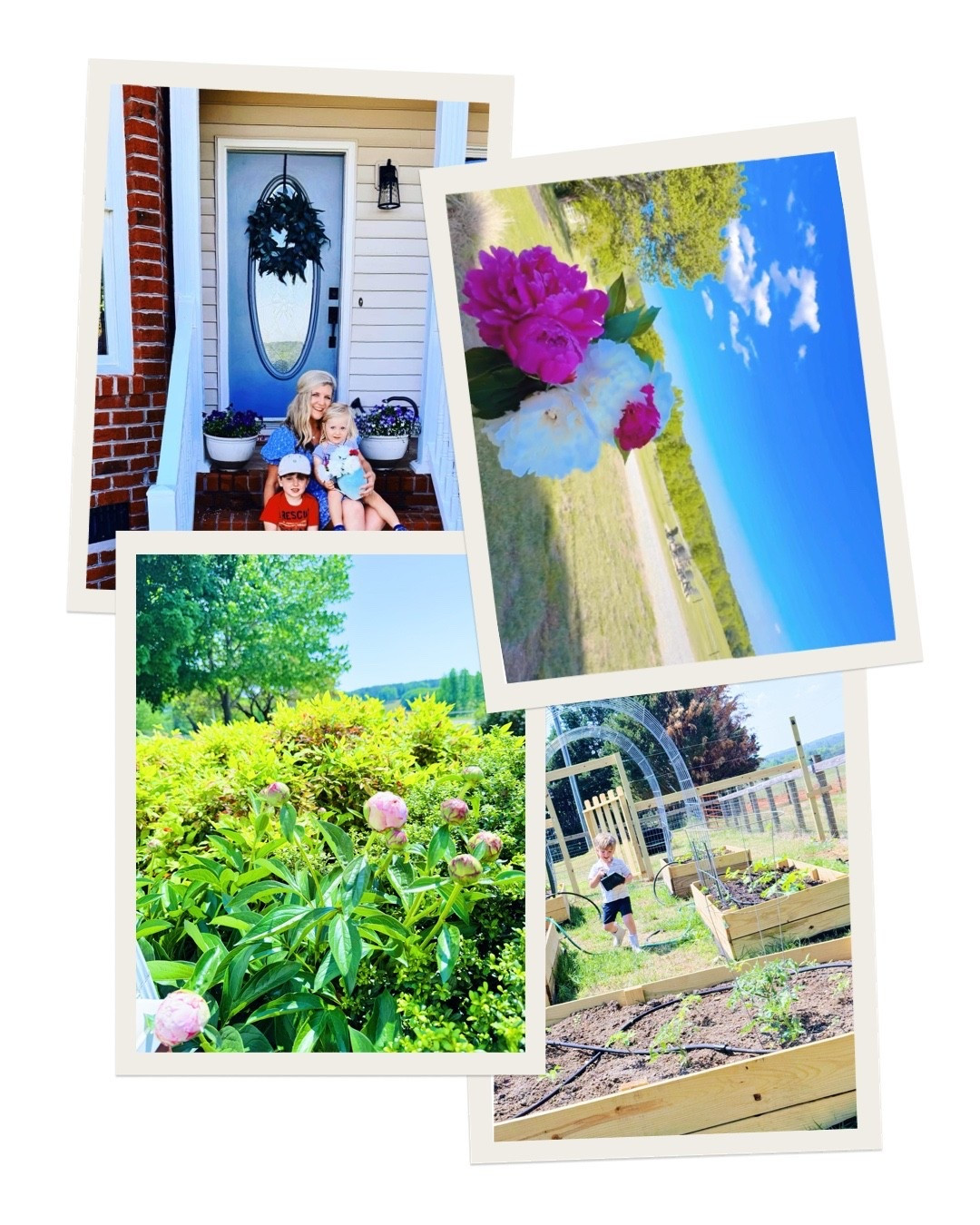 c a m e r a  r o l l  f r o m  t h e  w e e k 🌸🏡🇺🇸⚾️🦌🐓🧢🚜🐴🪴📖📚👩‍🌾🪏🌱🏟️🪷🌳🍯💐🌾🌼☀️🎈🌮🪻 #lifeonthefarm #lifelately #saturdaymorningphotodump #cameraroll 