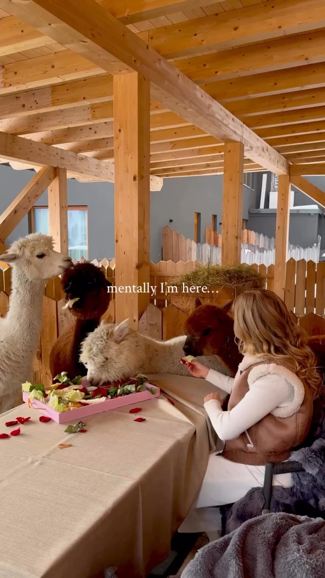 mentally having breakfast with alpacas in the Italian alps 🦙 

Comment ALPACA below for a link to book this bucket list hotel on our next visit to the Dolomites! 📍 Chalet Al Foss 

#dolomites #italy #alpaca #luxuryhotel #slowtravel luxury travel, luxury traveler, best hotels, hotel breakfast, Dolomites italy, italy travel, travel reels