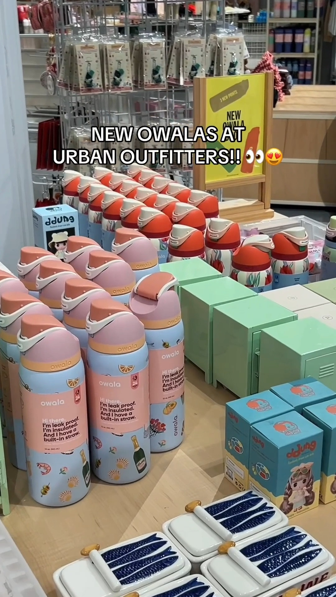 New Owala x Urban Outfitters collection!!😍 This is limited edition, so grab them while you can!

#owala #waterbottle #urbanoutfitters #travel #home #office #kitchen #school #cats 

#LTKHome #LTKFamily #LTKTravel