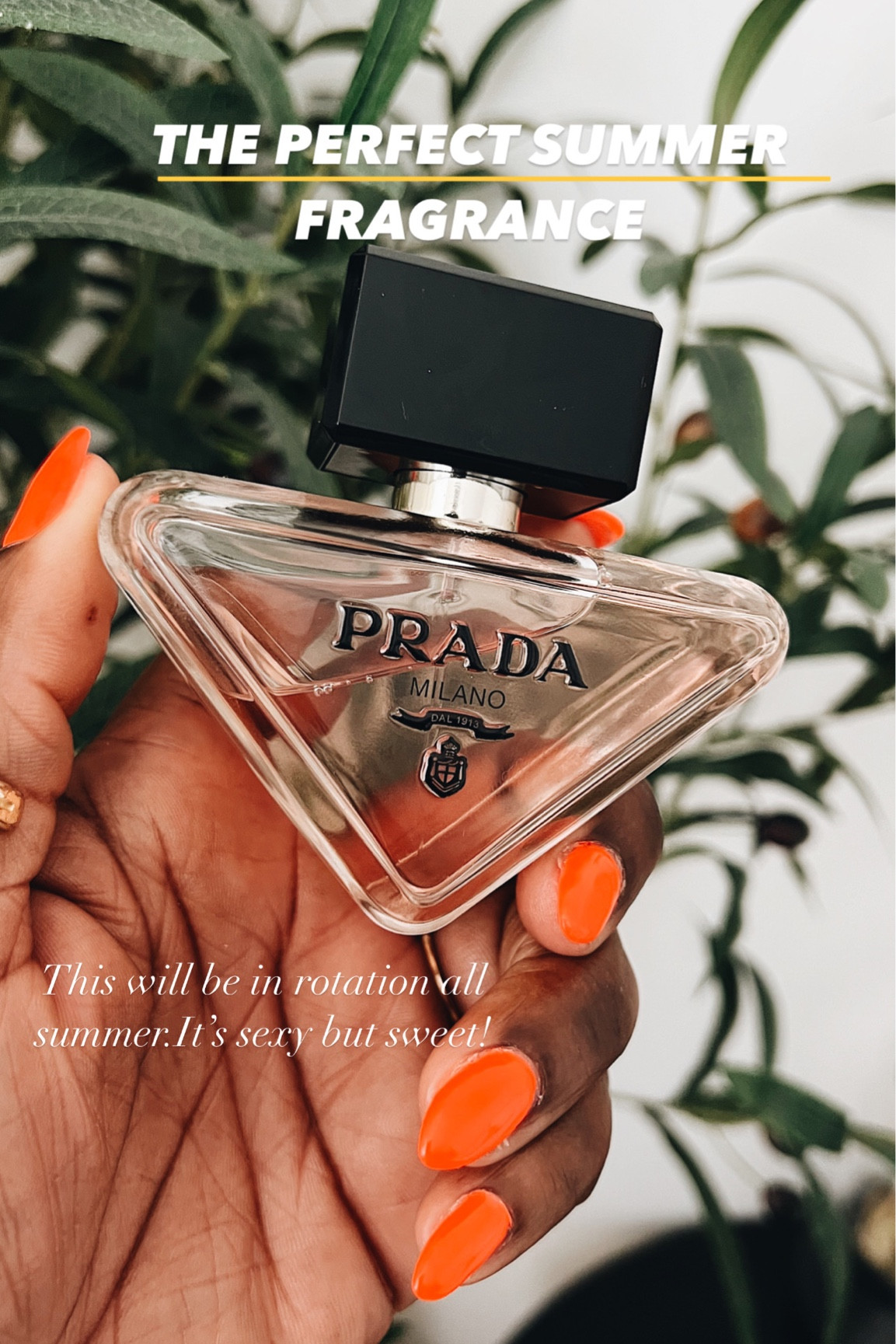 If you are looking for the Perfect summer scent, and love sweet scents get the Prada paradoxe. Its smells divine 

Summer fragrances, #perfumelover #perfume #signaturescent #beautyfavorites  summerscents #skinscents #everydayperfume
#perfumetray perfume organizer
summer perfume womens perfumes

#LTKsalealert #LTKFind #LTKbeauty