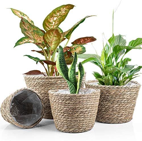 TUOSTPY Seagrass Woven Planter Basket Indoor, Plant Containers for Storage Plant Pot Basket, Picnic  | Amazon (US)