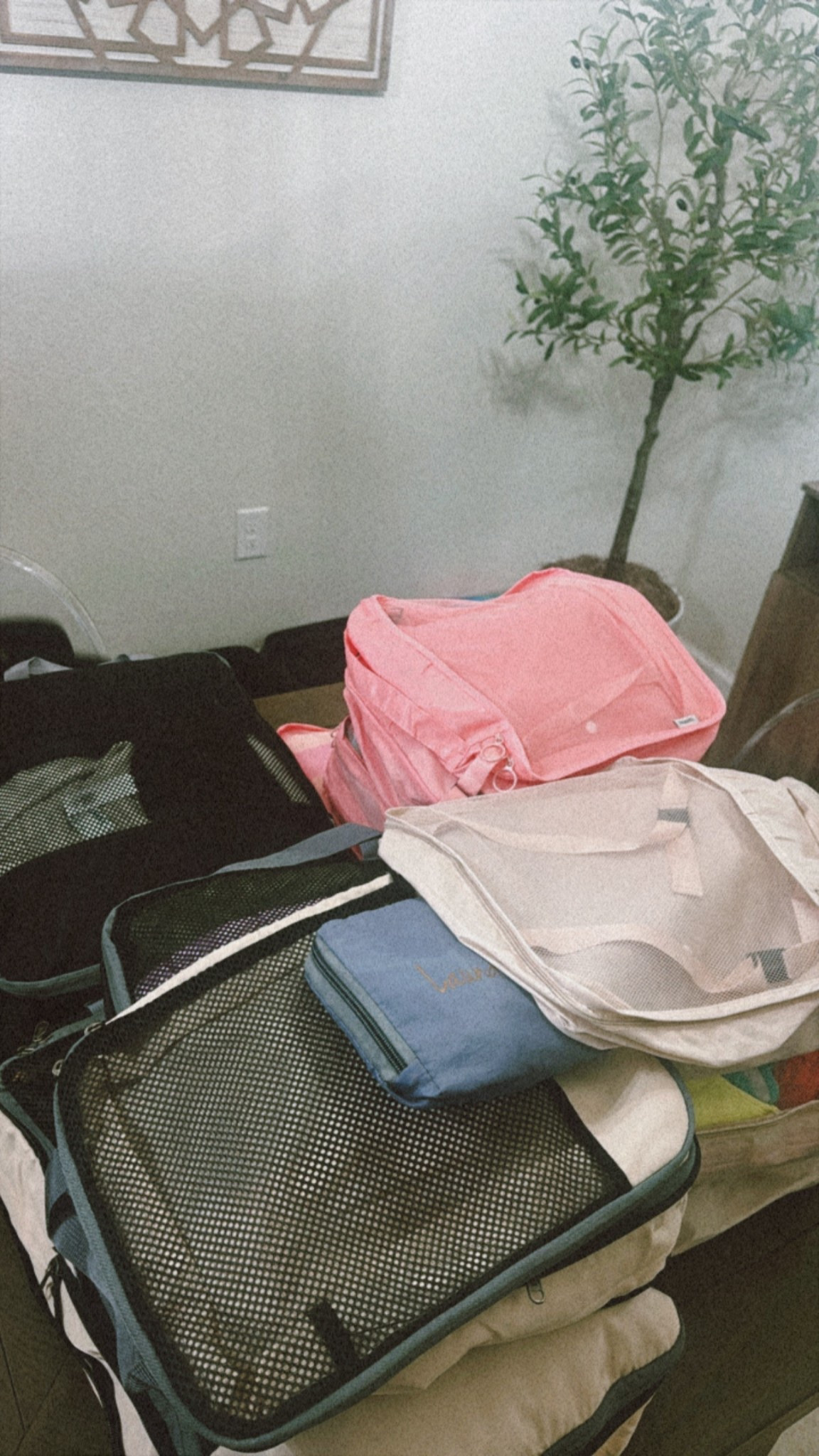 Best packing cubes!! 

#LTKFamily #LTKSummerEdit #LTKTravel