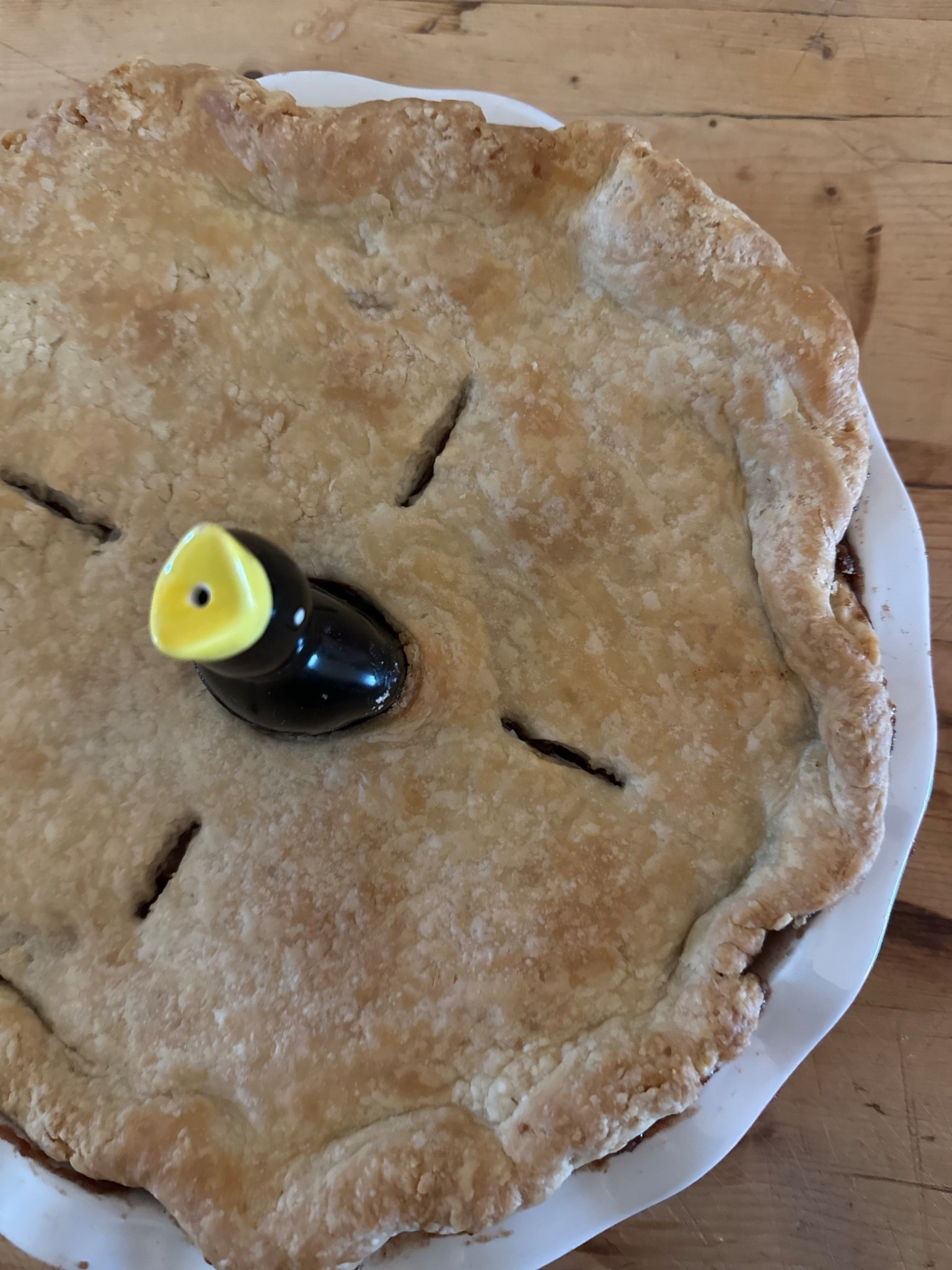 Baking Pie Bird

#LTKHome #LTKFindsUnder50 #LTKParties