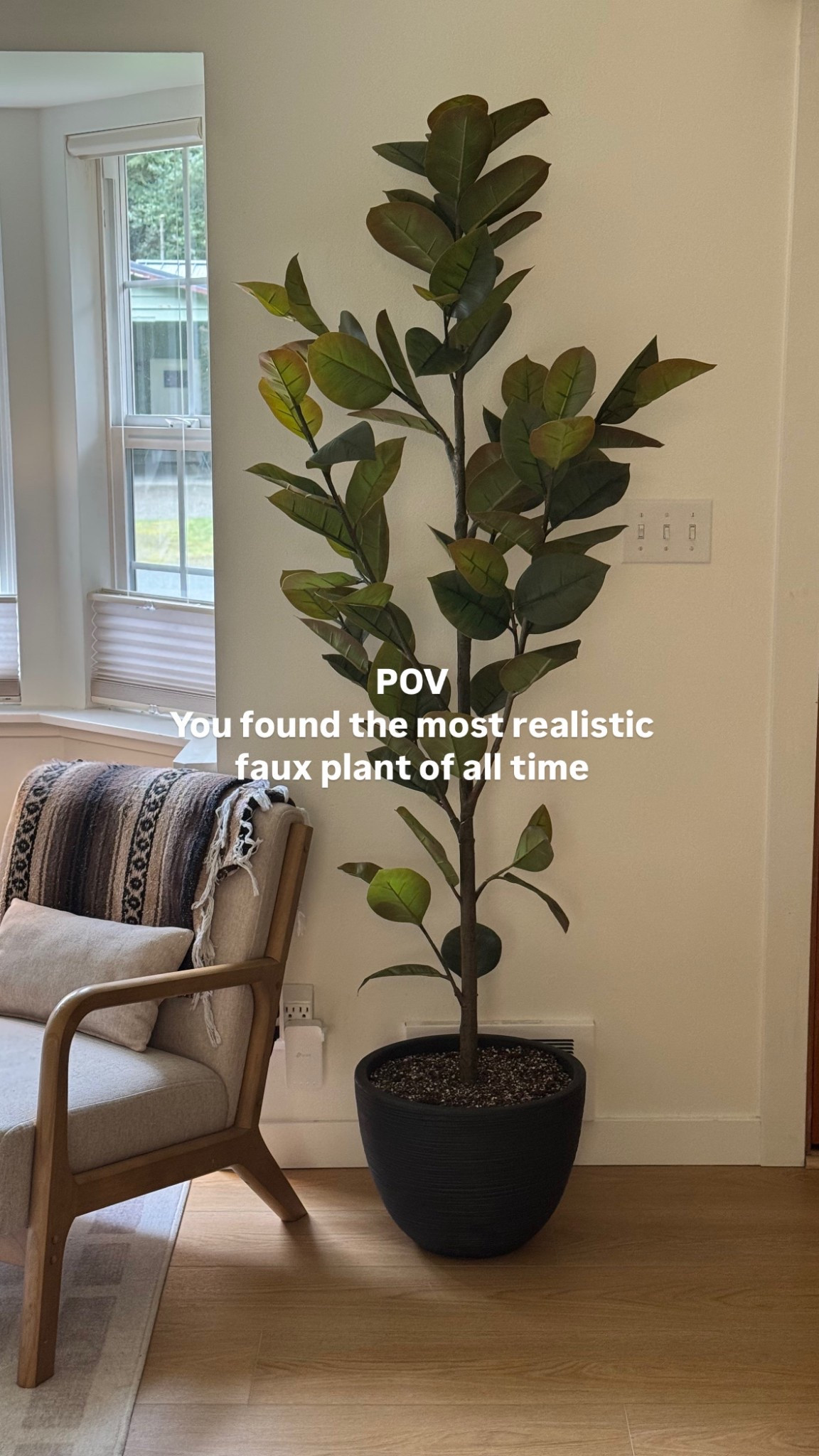 Never ever been a faux plant girl and yet here I am, shocked at how real this beauty is. 10/10 recommend and it’s on sale for target circle week! 

#LTKSaleAlert #LTKHome #LTKU