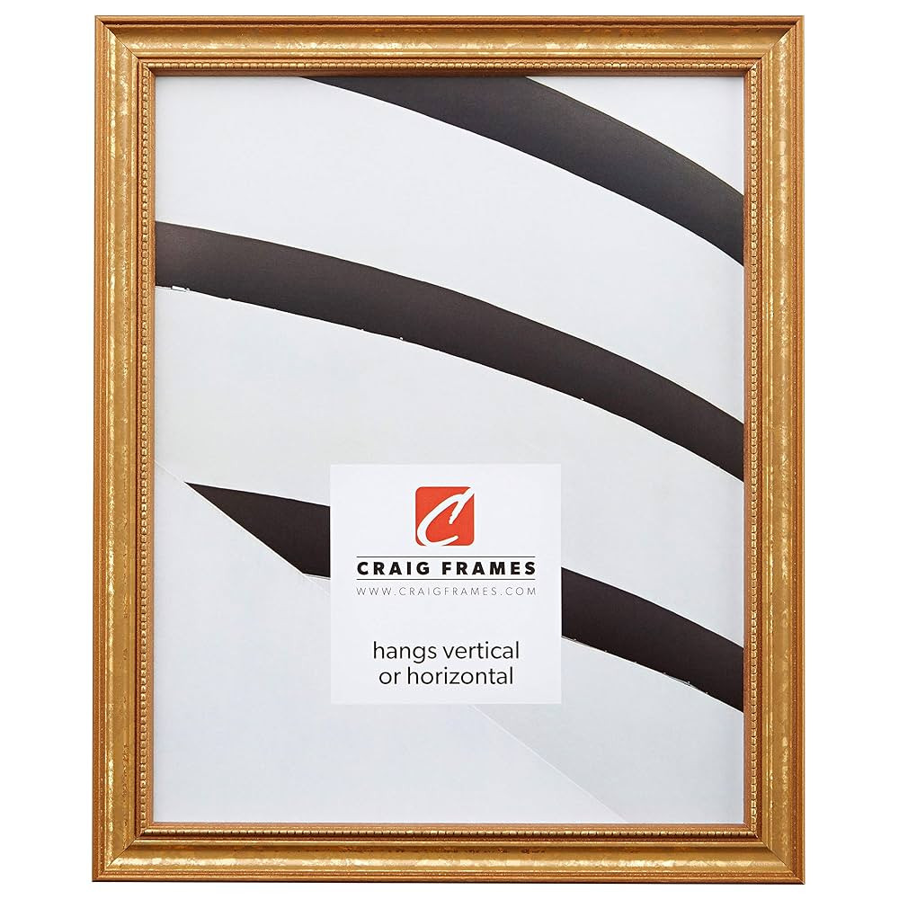 Craig Frames Stratton, 9x15 Picture Frame, Aged Gold | Amazon (US)