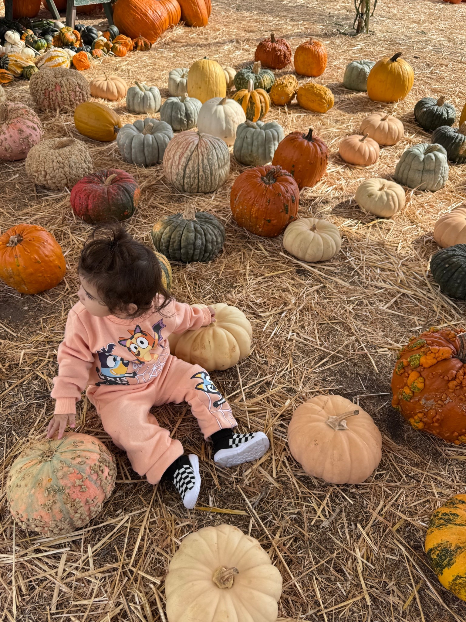 the perfect pumpkin patch fit doesn’t ex- 🎃

#LTKHalloween #LTKKids #LTKBaby