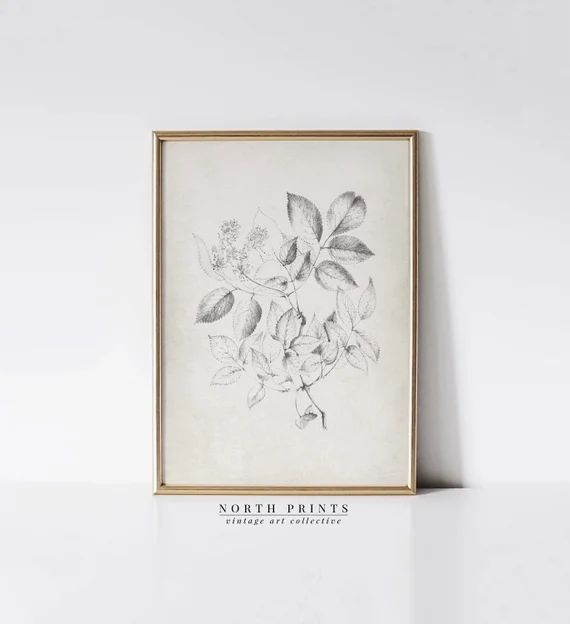 Antique Flower Sketch Art | Simple Botanical Drawing Wall Art | PRINTABLE Digital | SK207 | Etsy (US)