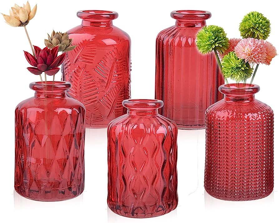 ELEGANTTIME Set of 5 Glass Small Bud Vase red Vase for Centerpieces Glass Flower Vase Bottle with... | Amazon (US)