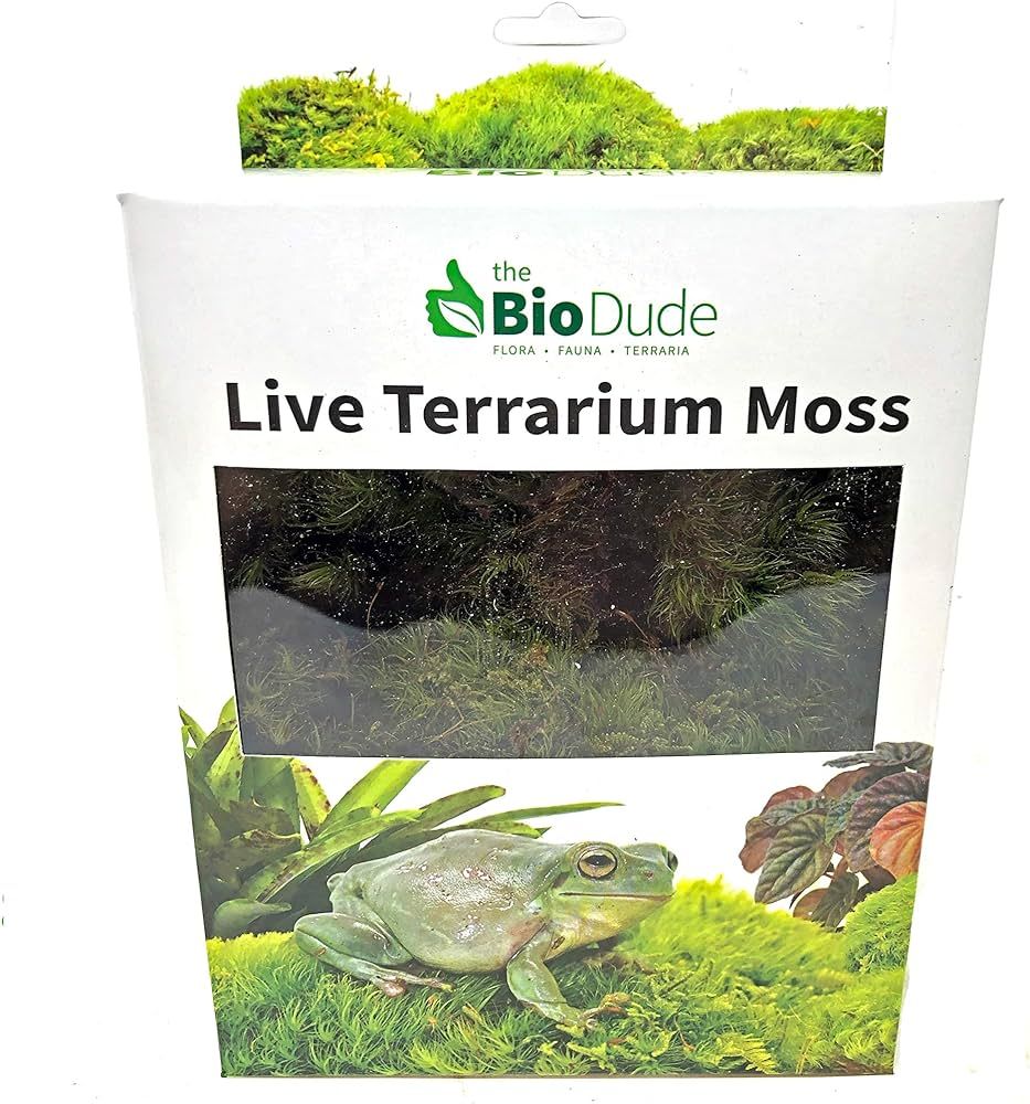 BIODUDE Live Terrarium Moss - Natural Pillow Moss | Amazon (US)