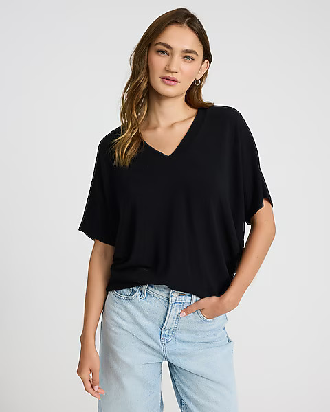 Relaxed Crepe V-neck Short Sleeve Sweater | Express