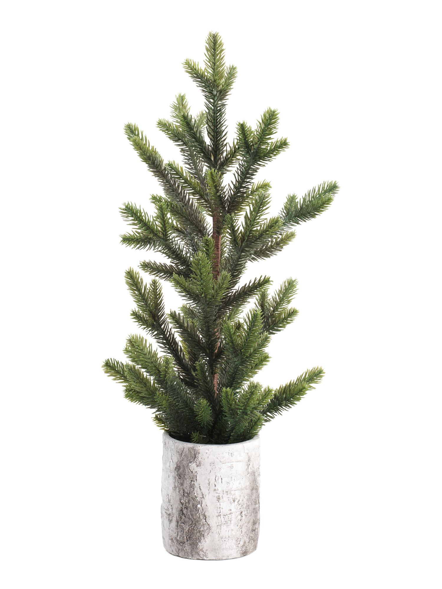21in Pine Tree Narrow In Birch Pot | TJ Maxx