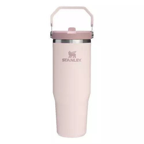 Stanley IceFlow 30 oz Flip Straw Tumbler | Scheels Sports
