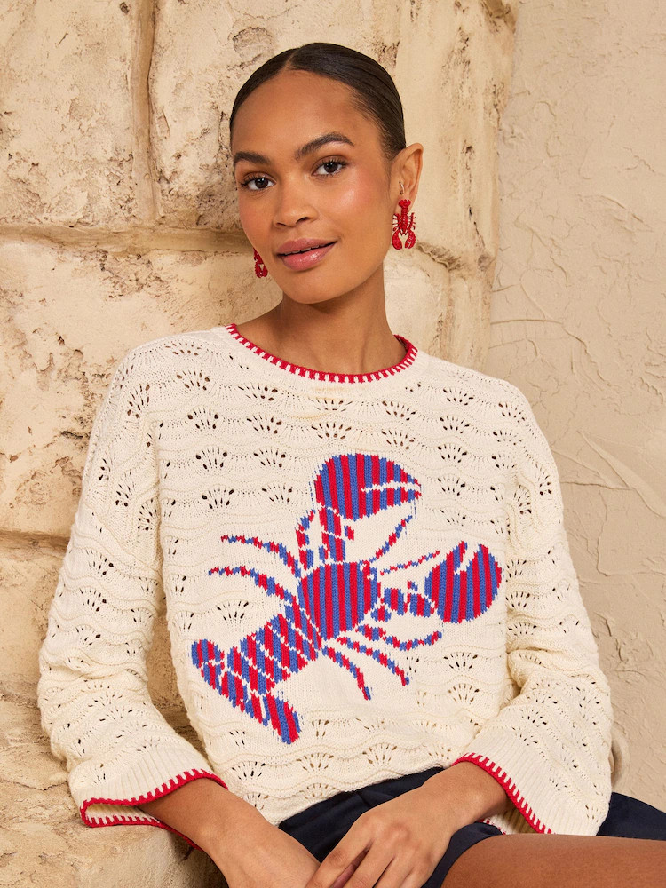 Love & Roses Ivory Crochet Knitted Lobster Jumper | Next AU