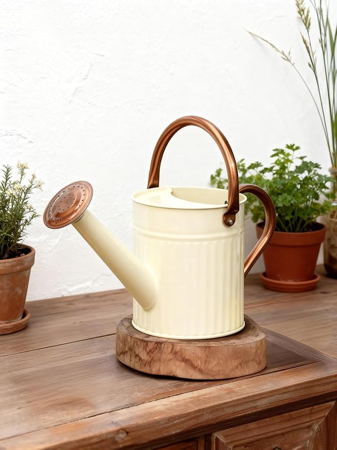 Bamworld Watering Can for Indoor Outdoor Plant Metal Watering Can with Removable Spout Embossd De... | Amazon (US)