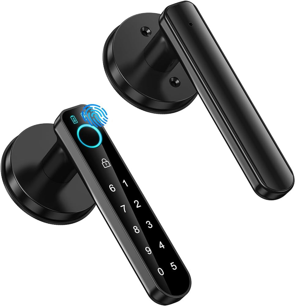 Fingerprint Door Lock, Smart Door knob,biometric Door Lock，with passcode keypad keyless Entry D... | Amazon (US)