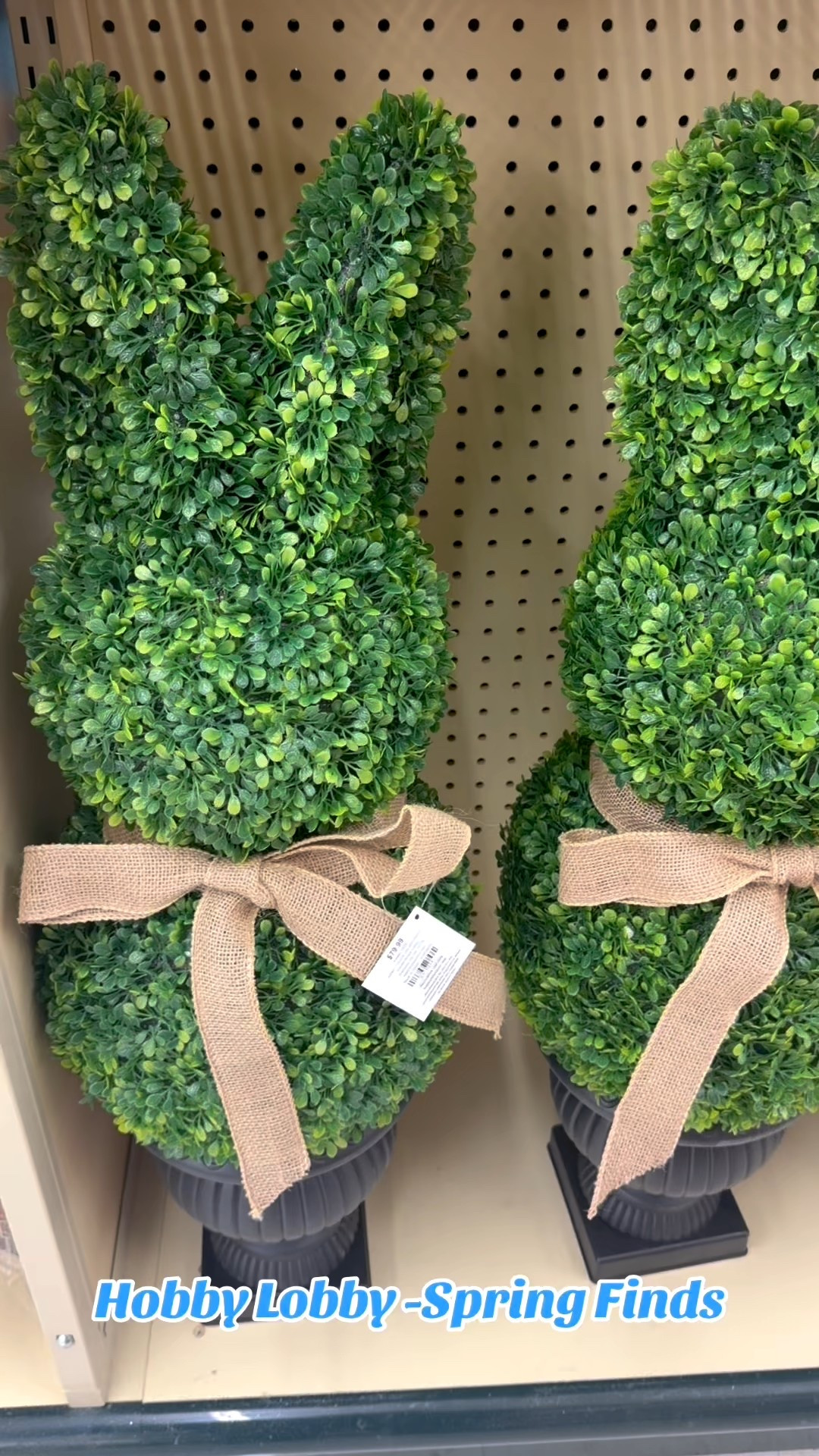 Look who hopped into Hobby Lobby! 🐰✨ These viral adorable bunny topiaries are back — and cuter than ever! 🌿💛 Perfect for spring + Easter décor! 😍 

Shop similar bunny topiary finds on my LTK. 

#LTKSpring #HobbyLobbyFinds #EasterDecor #TopiaryLove #BunnyVibes