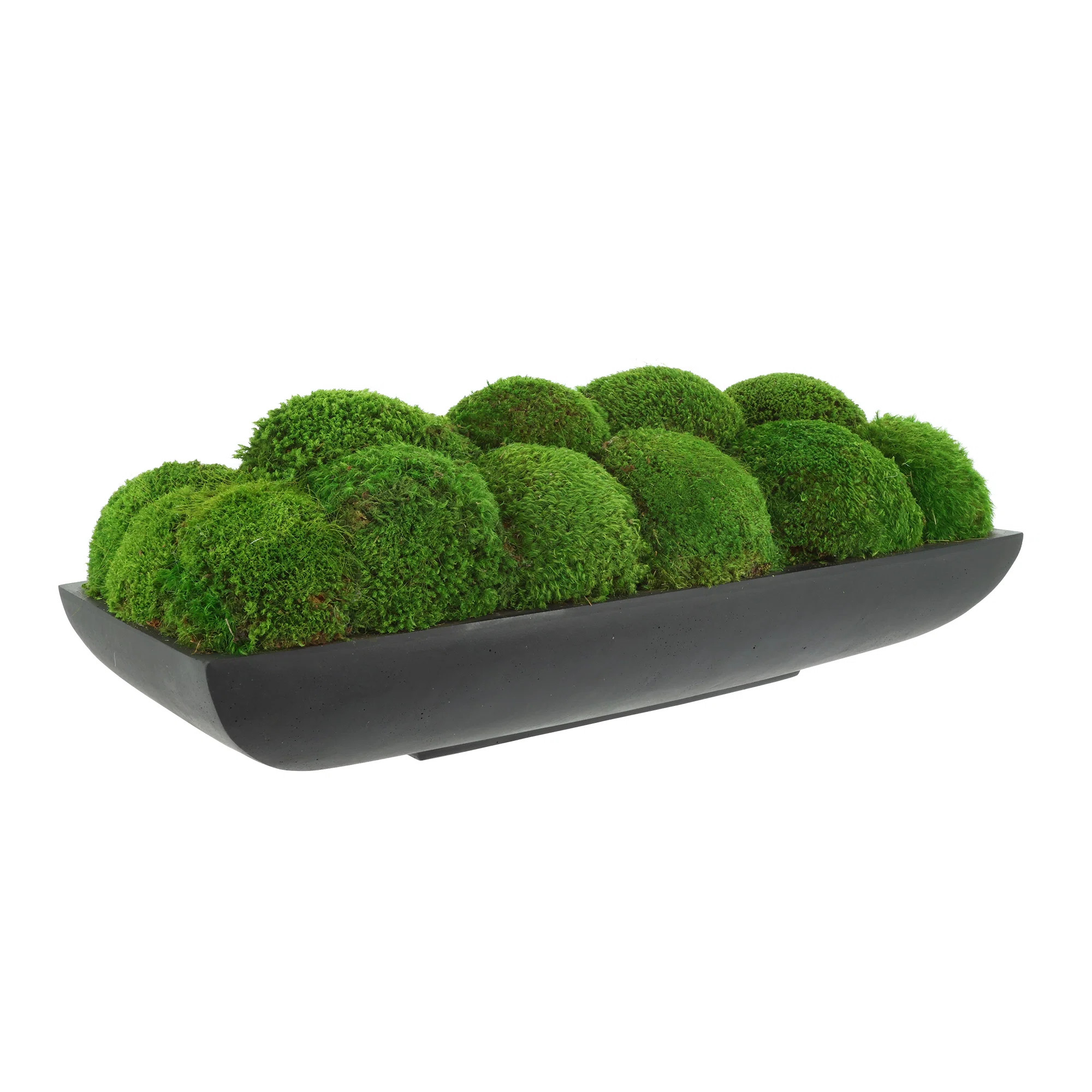 Preserved Moss Arrangement In Oblong Planter | Wayfair North America
