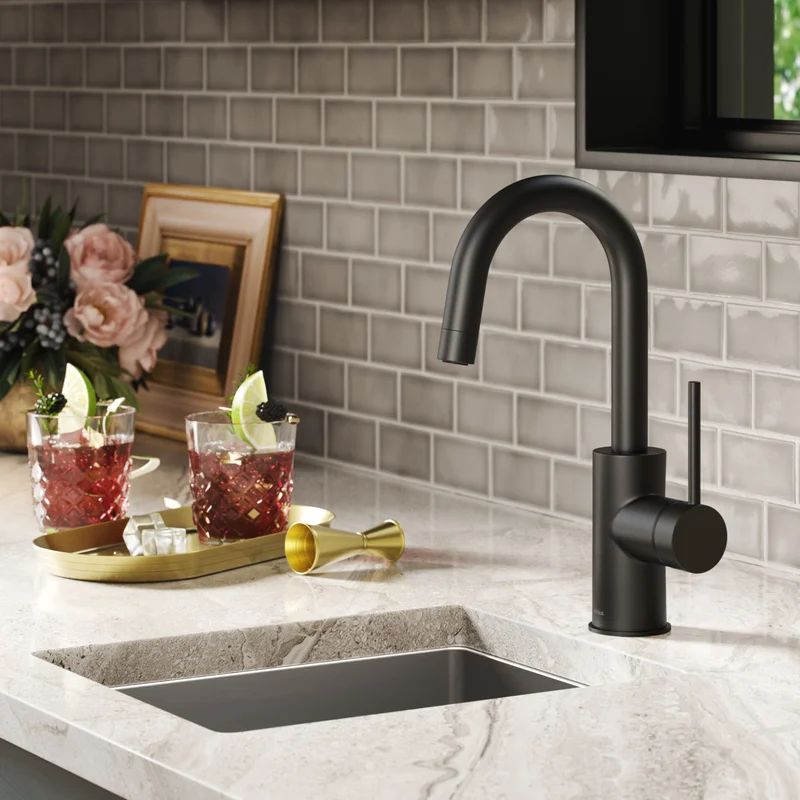Single Handle Kitchen Faucet with Accessories | Wayfair Professional