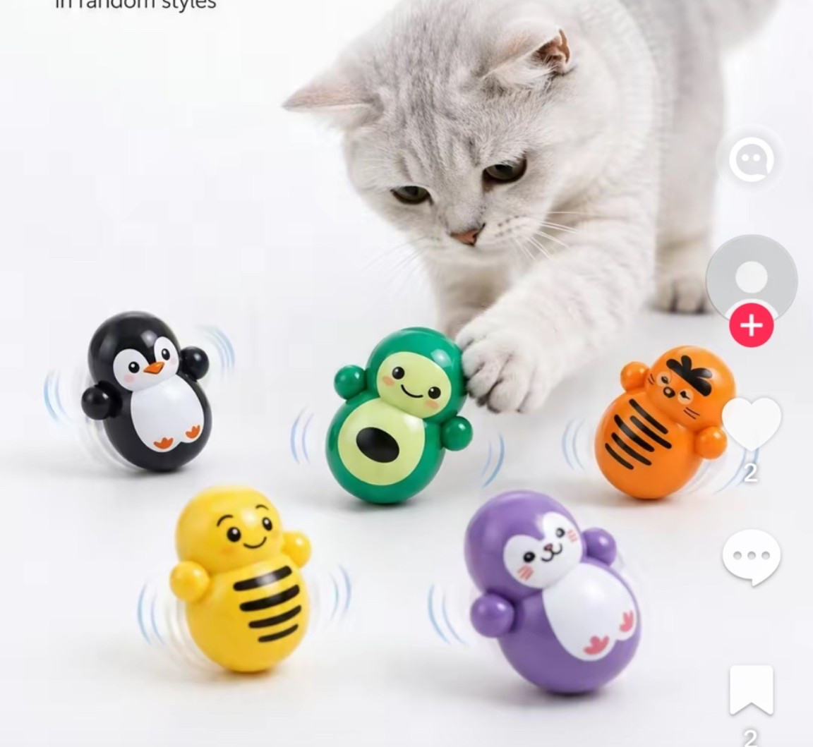 #cattoys #interactivecartoys #cats #pets