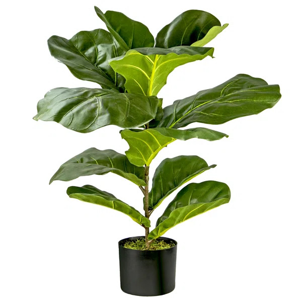 Faux Fiddle Leaf Fig Plant in Pot | Wayfair North America
