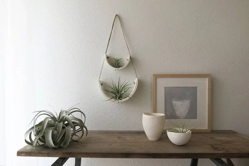 Tiered White Earthenware Hanging Tillandsia Air Plant Holder | Etsy | Etsy (US)