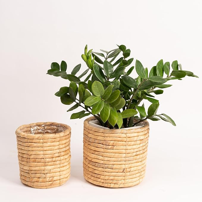 Set of 2 Water Hyacinth Planter Pot Indoor for Plant, Flower Pot, Succulent Pot, Basket Planter, ... | Amazon (US)