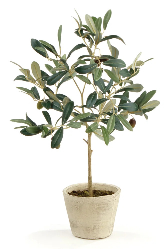 Freeport Park® Tarik 19.5'' Faux Foliage Tree in Ceramic Pot & Reviews | Wayfair | Wayfair North America