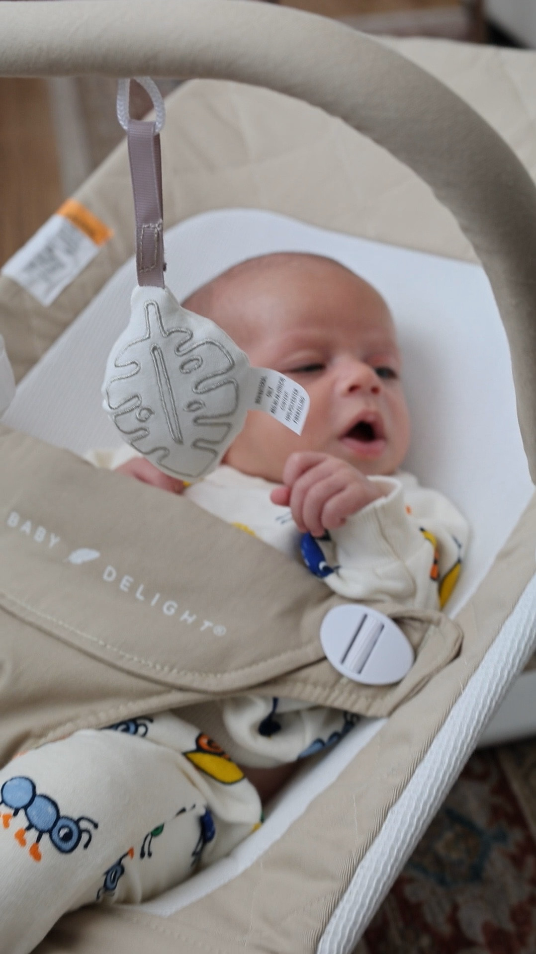 Baby Bouncer ☁️🍼

Cheaper Amazon find for a luxury baby bouncer. 


#LTKFindsUnder50 #LTKBaby #LTKBump