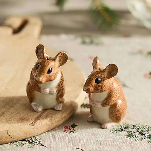Quail Ceramics Woodland Friends Salt + Pepper Shakers | Terrain