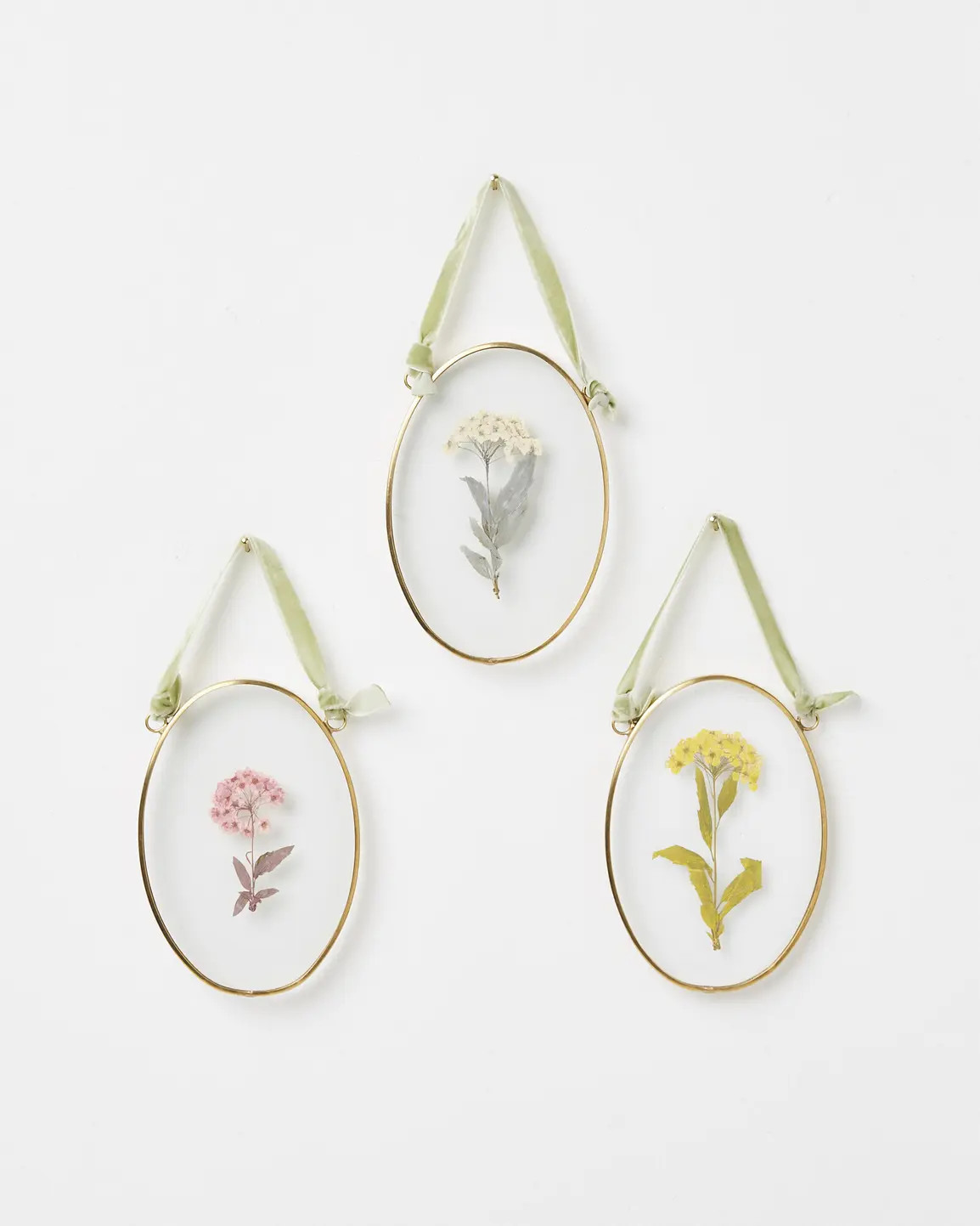 Gold & Glass Pastel Dried Flower Wall Hangings Set of Three | Oliver Bonas (Global)