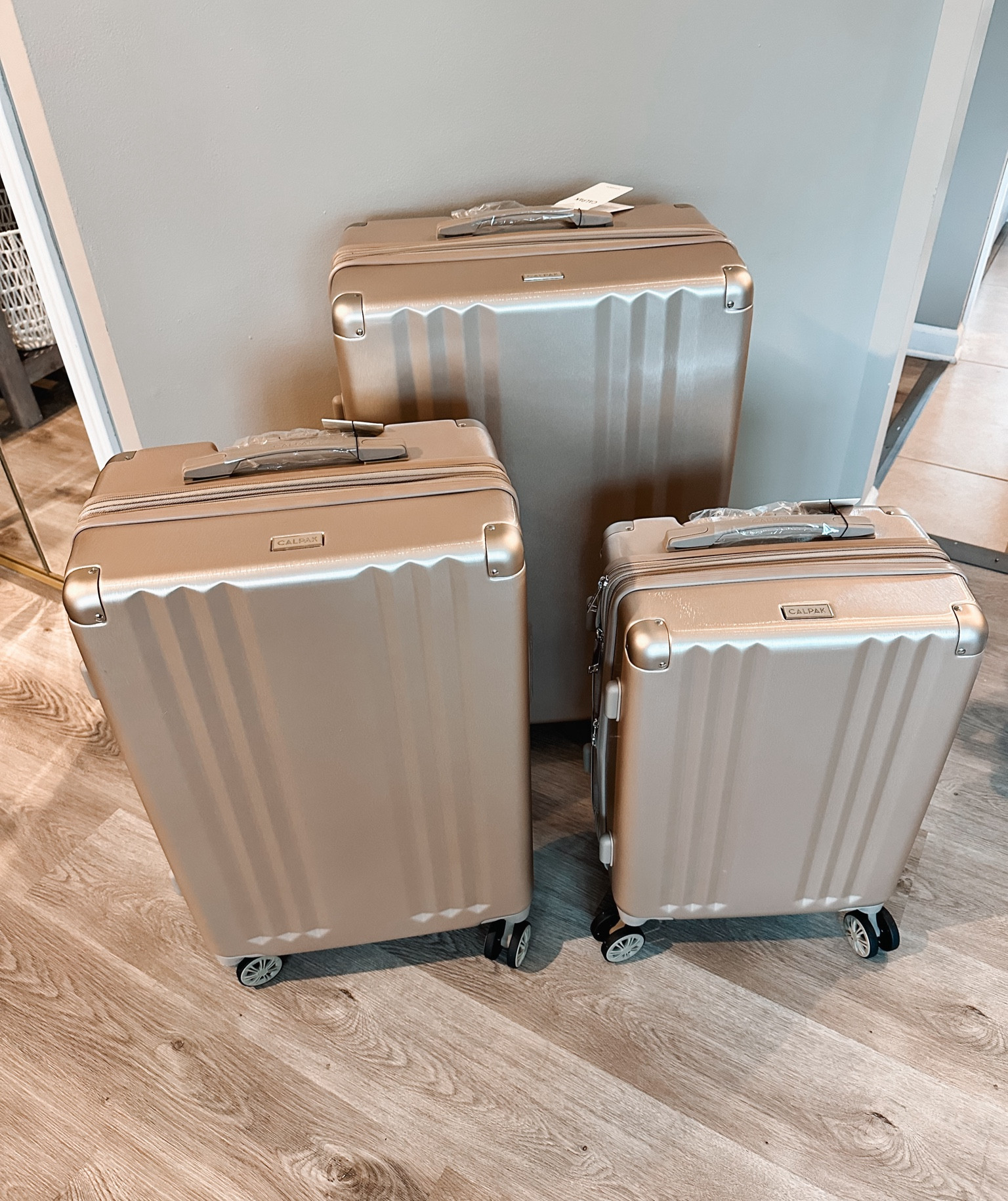 Calpak nesting luggage set!



#LTKtravel