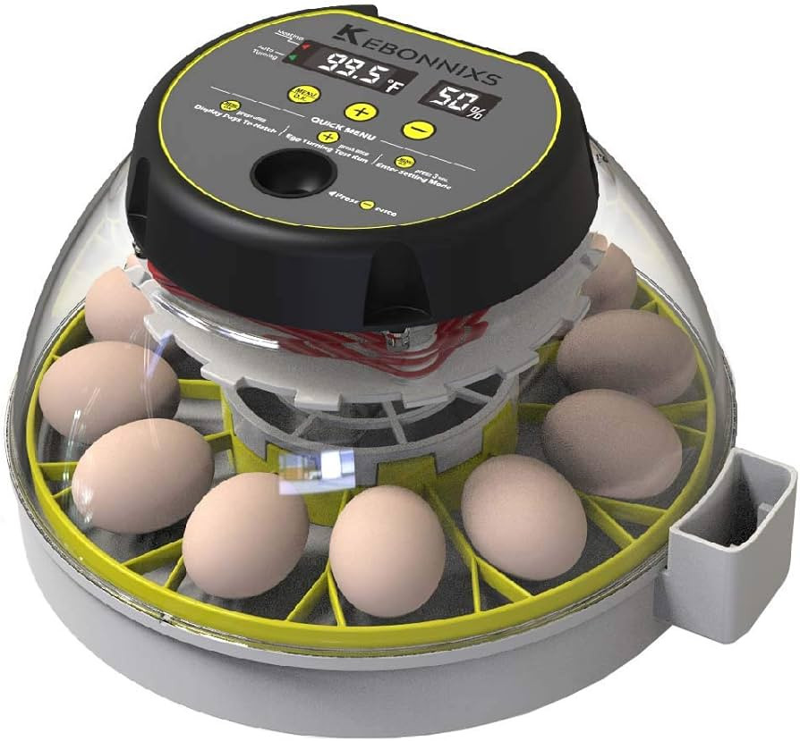 12 Egg Incubator with Humidity Display, Egg Candler, Automatic Egg Turner, for Hatching Chickens | Amazon (US)