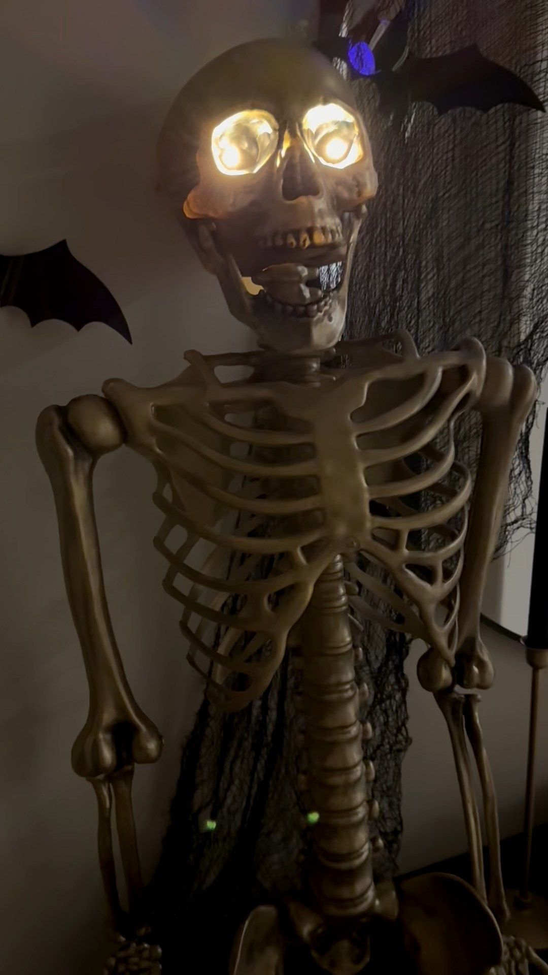 Wanted to change it up a little with the indoor decor this year! Still used the viral bats from last year just didn’t use all of them and added Mr. Skeleton 

#LTKHome #LTKFamily #LTKHalloween