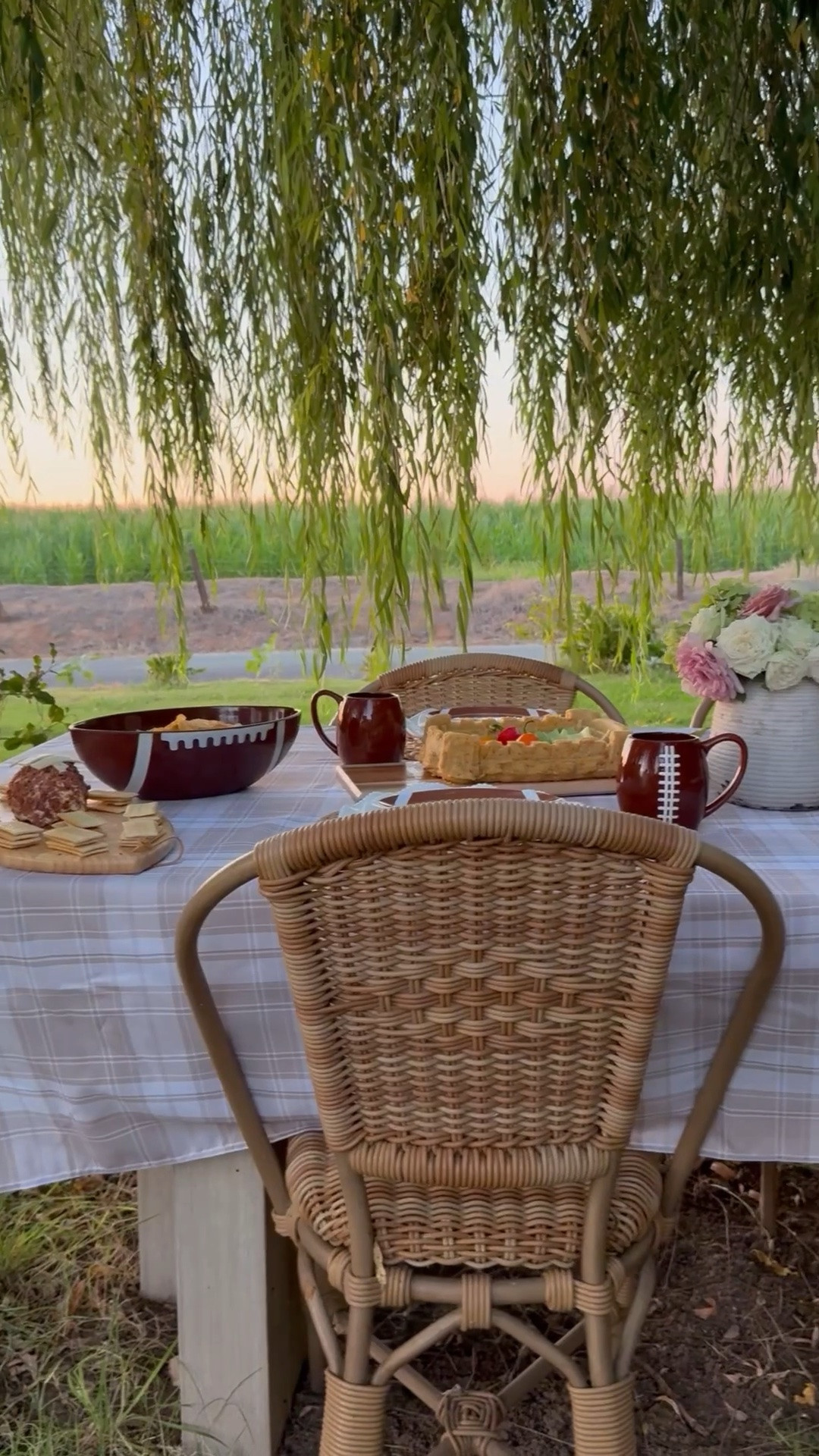 #Ad With tailgate season upon us, I’m showing you how to create a beautiful tablescape family and friends will love, using football-inspired pans, entertaining essentials and decor from @Wayfair #wayfairpartner #wayfair

#LTKHome #LTKSeasonal #LTKSaleAlert