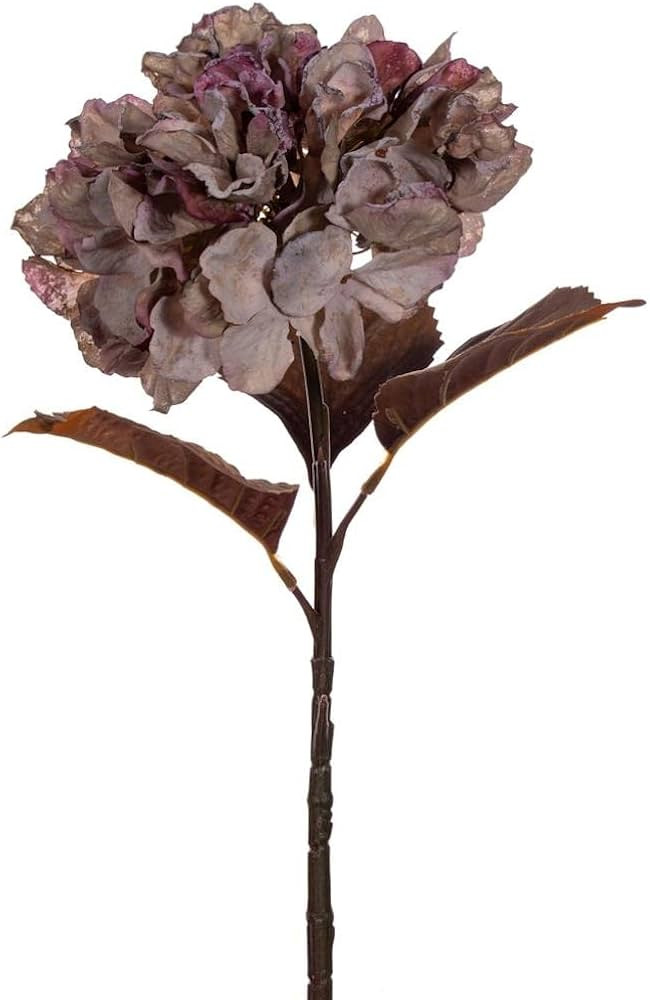 Vickerman 717240-18.5" Plum Green Dried Hydrg Spray 2/Bag (FM223419) Dried and Preserved Flowerin... | Amazon (US)