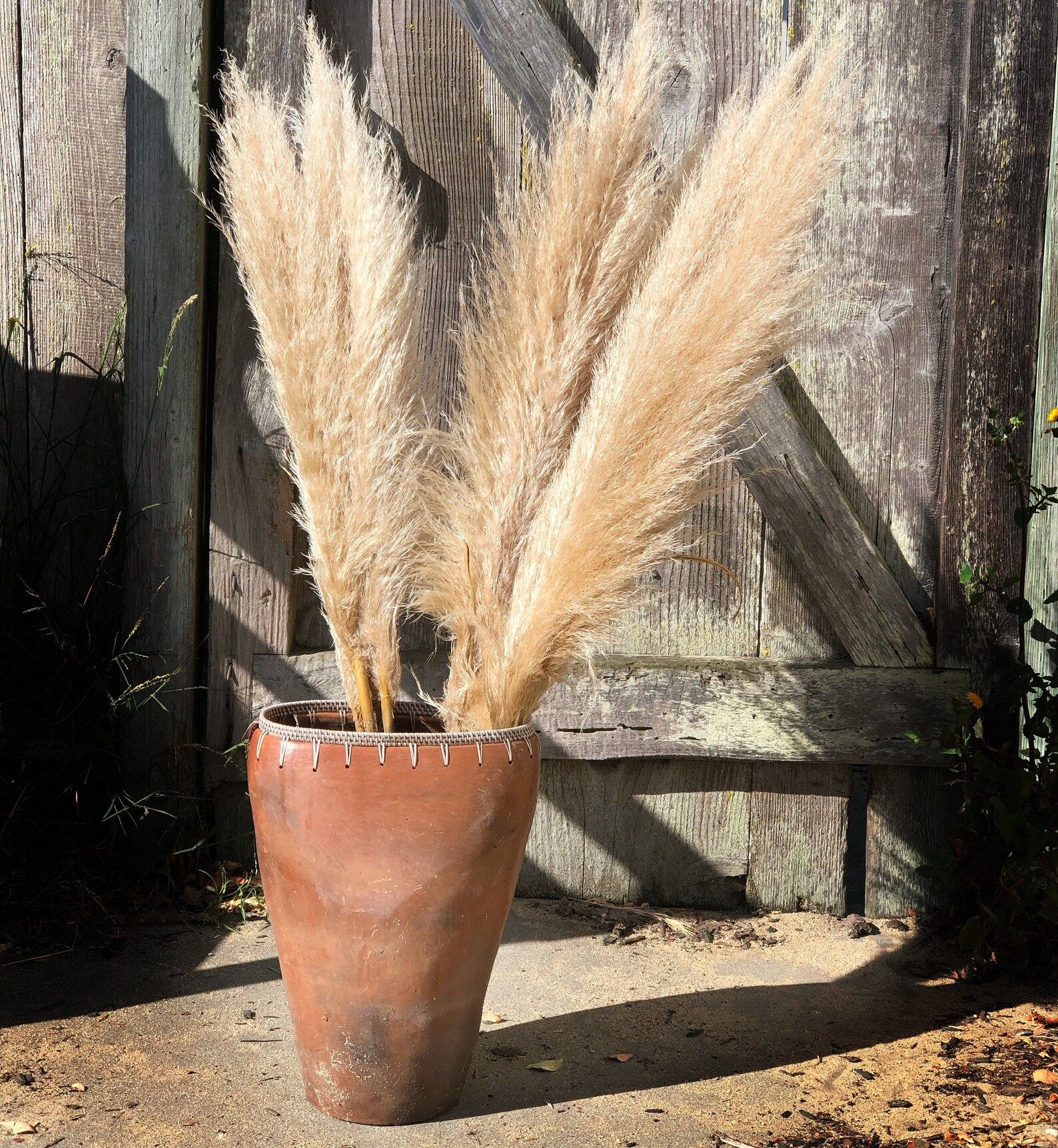 PAMPAS GRASS  Natural Dried Pampas Grass Decor Reed Plume | Etsy | Etsy (US)