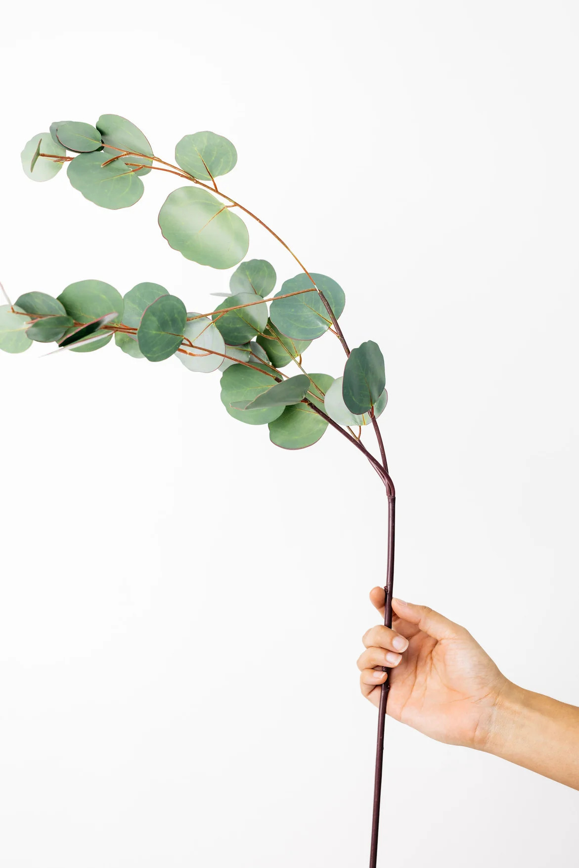 Odessie Eucalyptus Spray - 31" | THELIFESTYLEDCO