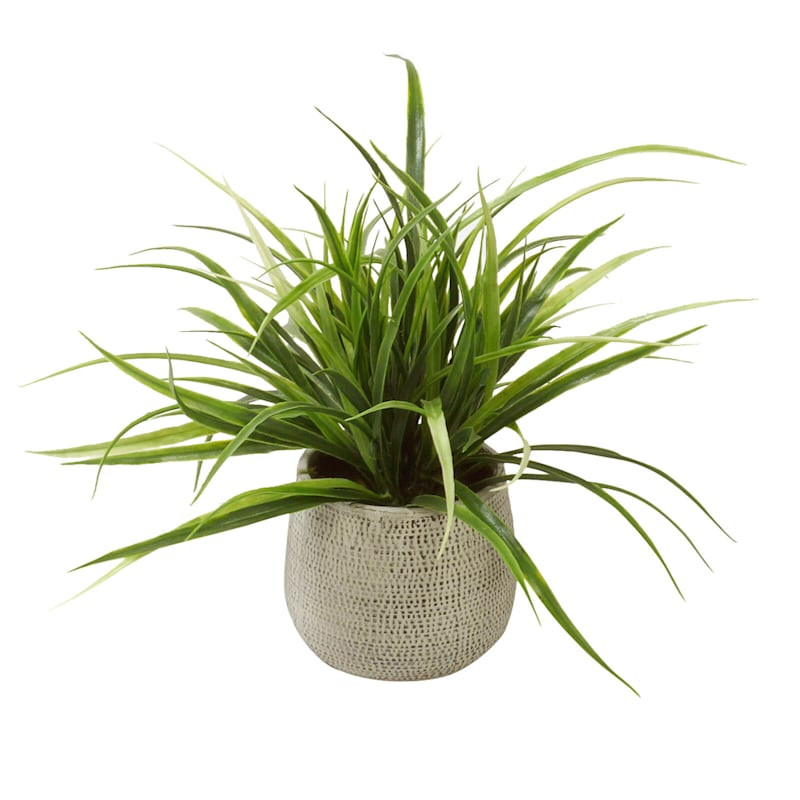 Grass Plant with Textured Planter, 11" | At Home