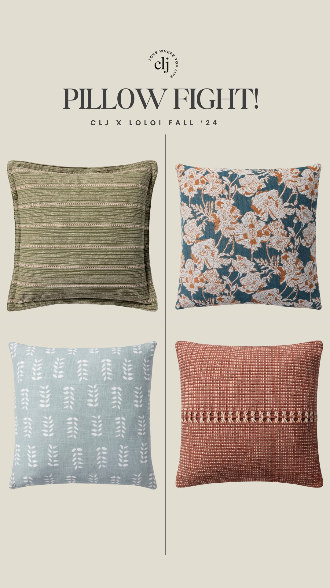 Choose your CLJ x Loloi pillow fighter!! 

#LTKFindsUnder50 #LTKHome #LTKStyleTip