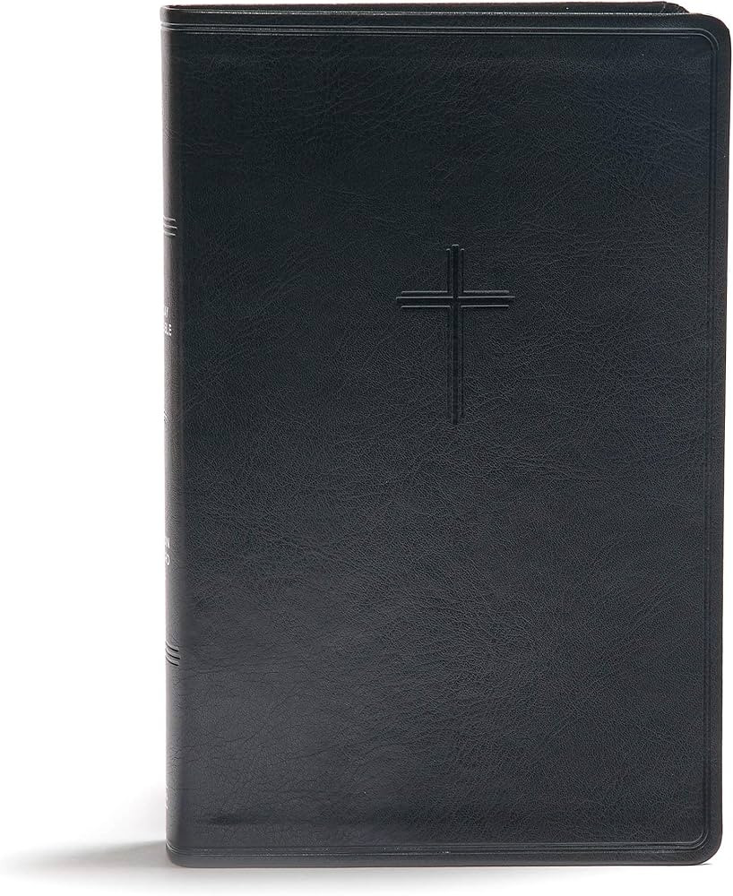 CSB Everyday Study Bible, Black LeatherTouch, Black Letter, Study Notes, Illustrations, Aricles, ... | Amazon (US)