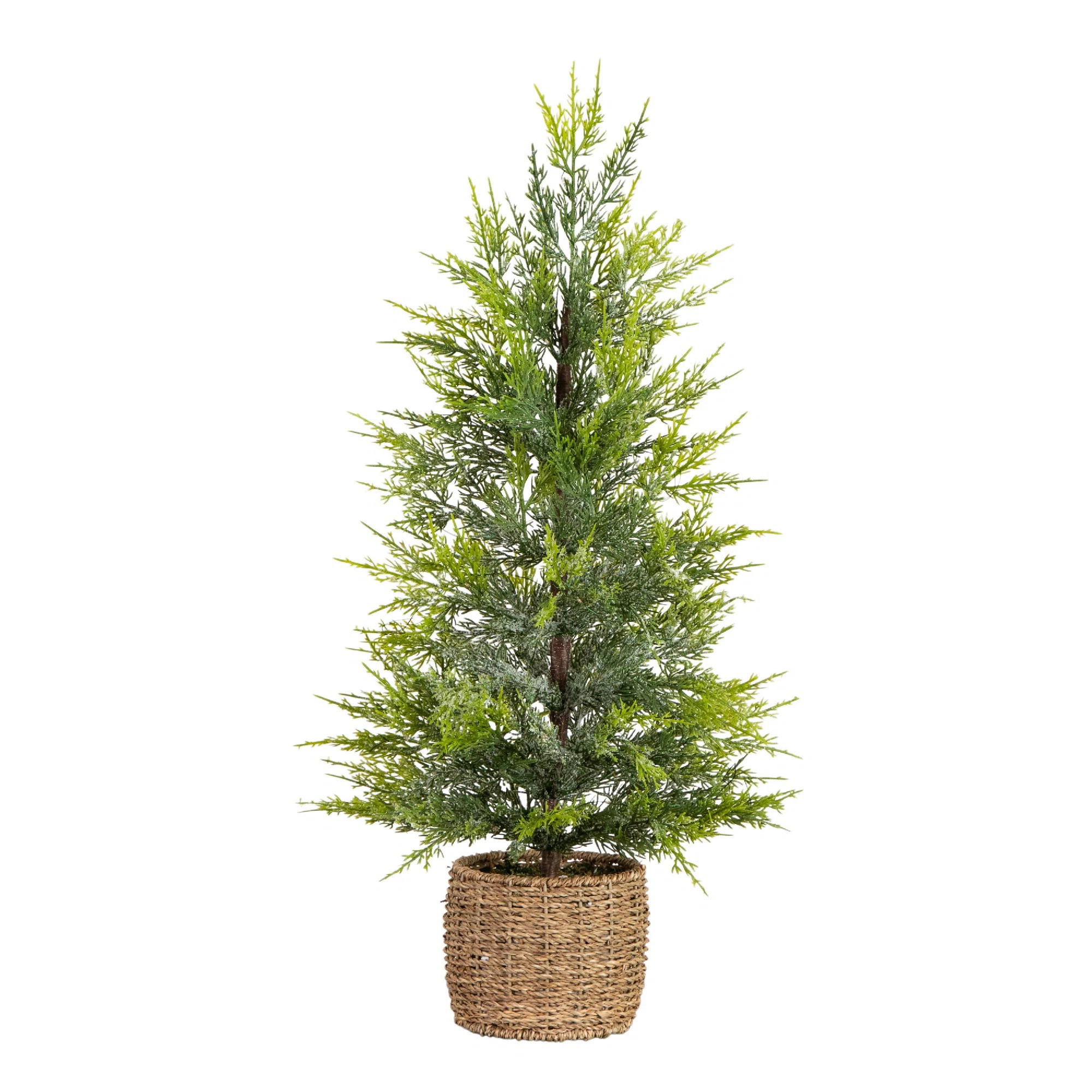 32In. Pre-Lit Artificial Lightly Snowed Cypress Christmas Tree With 30 Warm White LED Lights In D... | Joss & Main