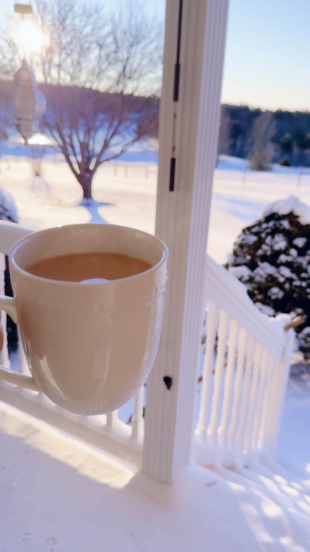 Welcoming in February 💘 with the dreamiest blanket of white 🤍 snow ❄️ covering the farm ❤️ - what a dream!! 💭 