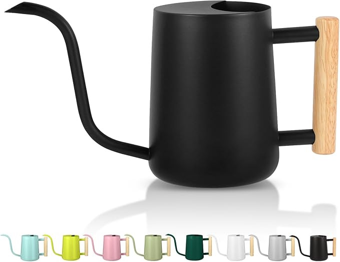 Plant Watering Can,35oz Metal Watering Can,Stainless Steel Watering Can Indoor Plants with Long C... | Amazon (US)