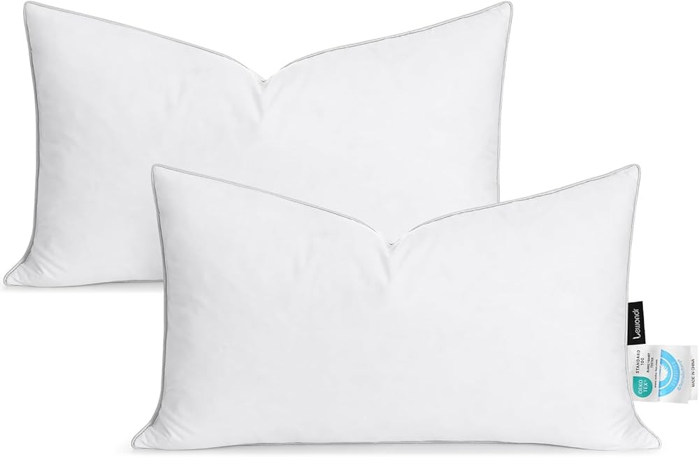 12x20 inch Pillow Insert Set of 2, Down and Feather Throw Pillow Inserts Premium Soft Fluffy with... | Amazon (US)