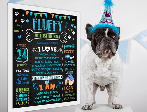 Printable Dog Birthday Chalkboard Sign  1st Party Chalk Board | Etsy | Etsy (US)