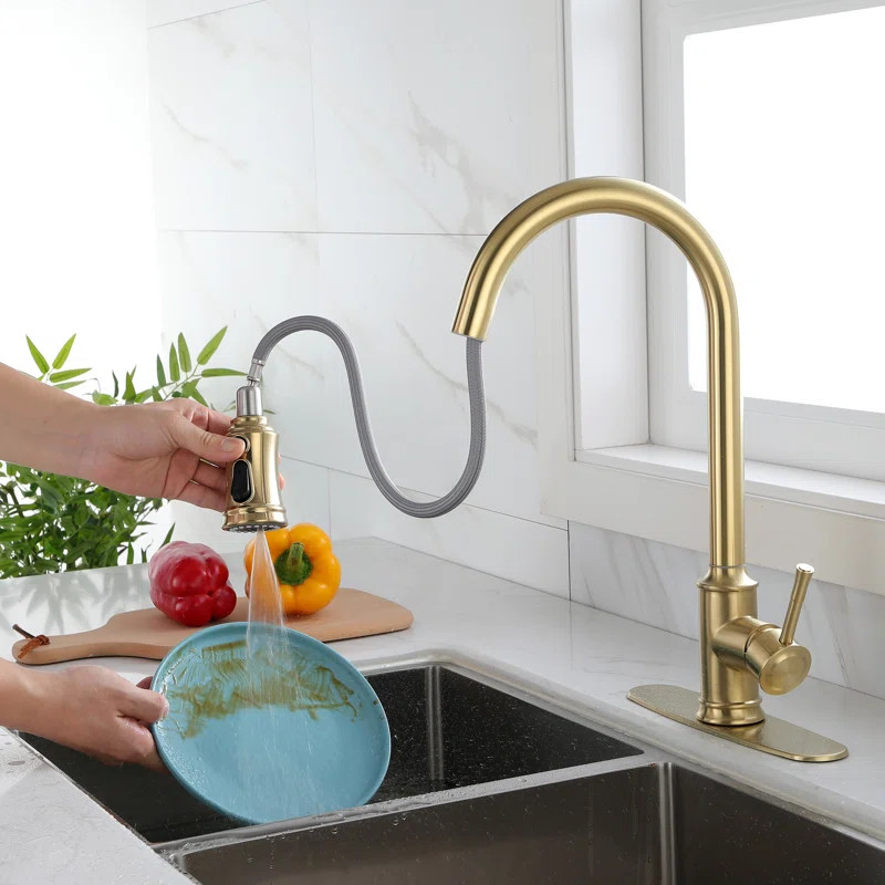 DLGATHSKF02BG Dilon Pull Down Touch Kitchen Faucet | Wayfair Professional