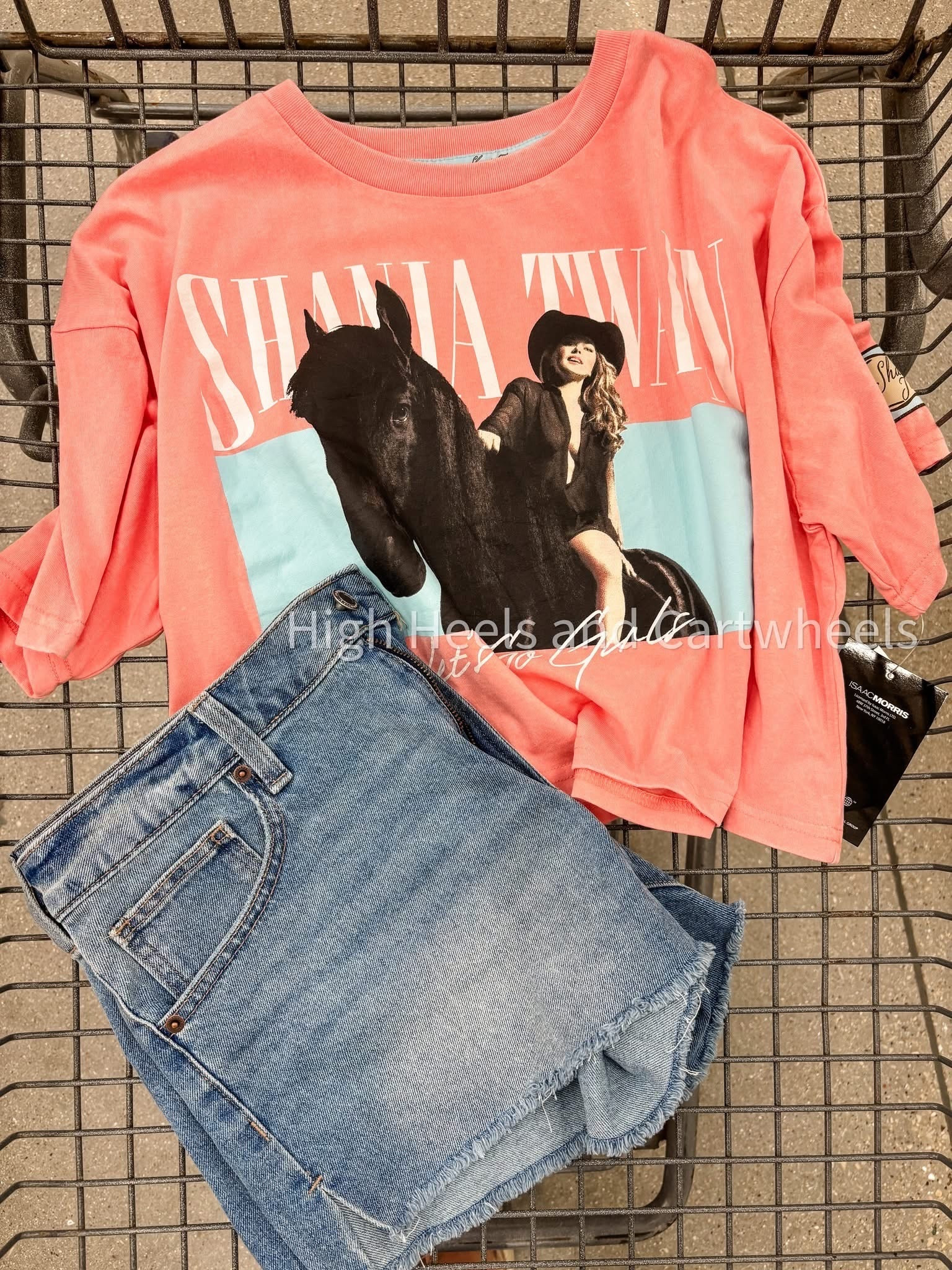 Any Shania fans out there? We thought this tee was fun!